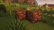 Ancient debris (Image via Minecraft)